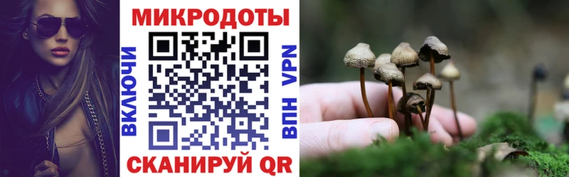 hydra рабочий сайт  Камышлов  Галлюциногенные грибы мухоморы 