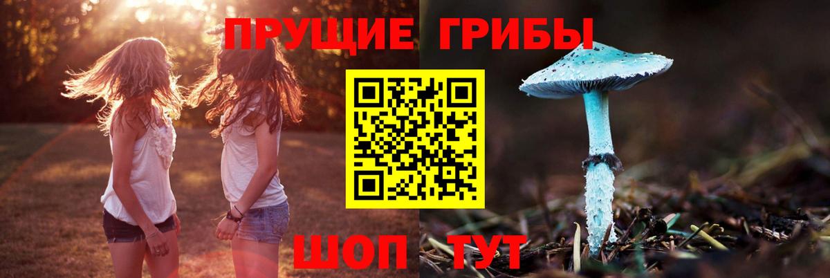 Камышлов  дарнет шоп  Псилоцибиновые грибы мухоморы  Вход с VPN  Псилоцибиновые грибы ЛСД 