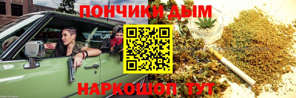 Канабис план Камышлов